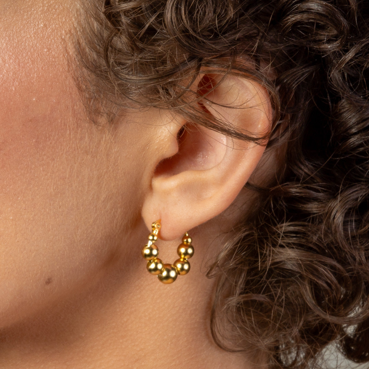 THE LOOP HOOPS