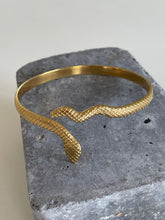 Load image into Gallery viewer, Serpent Cuff
